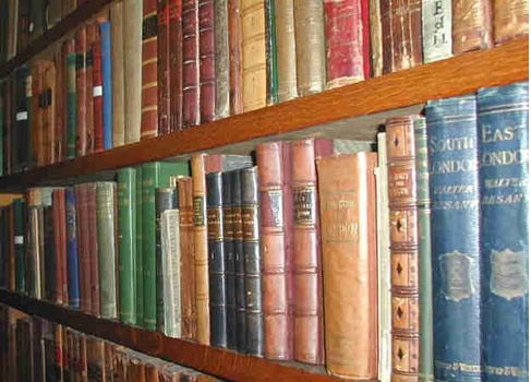 Books on a Bookshelf